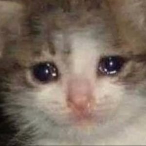 Meet your Posher, Sheyla